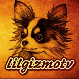 lilgizmotv