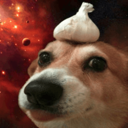 wizerwolf
