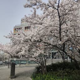 ArChang3