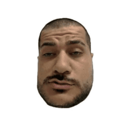 HamedLoco