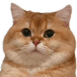 CatFishXP